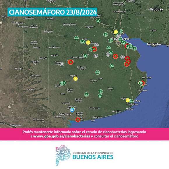 Cuatro municipios bonaerenses con alerta roja por cianobacterias