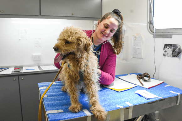 Quirófano móvil: este viernes se realizarán las revisiones prequirúrgicas