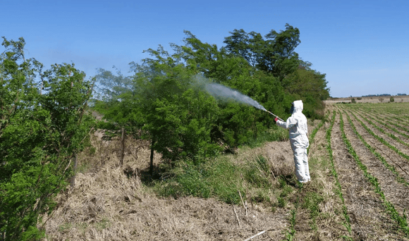 Capacitación sobre Acacia Negra: Manejo y métodos de control en Chascomús