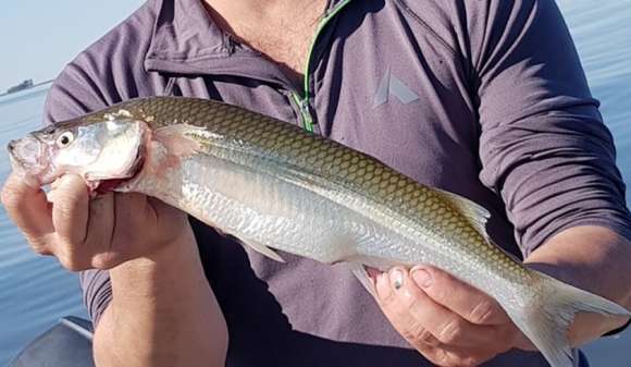 Madariaga palpita la Primera Fiesta del Pejerrey en la Laguna Salada Grande