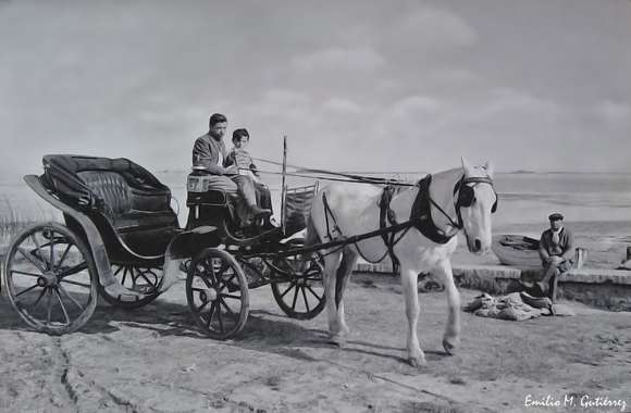 El carruaje El Mateo y el despertar de los recuerdos a través de las fotografías de Emilio Mariano Gutiérrez