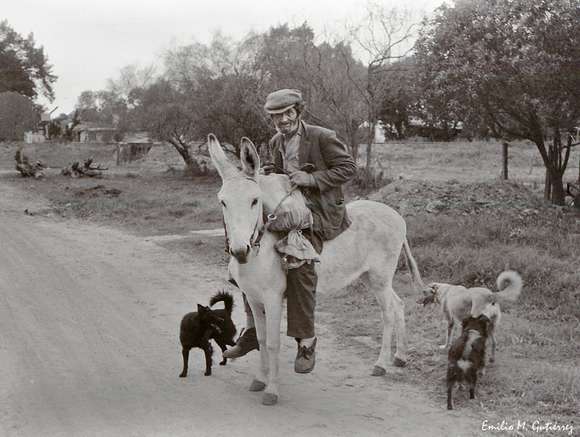 En este domingo de clásicos, un recuerdo que nos abraza el alma: “Manya”, Golondrina y la memoria viva de Chascomús