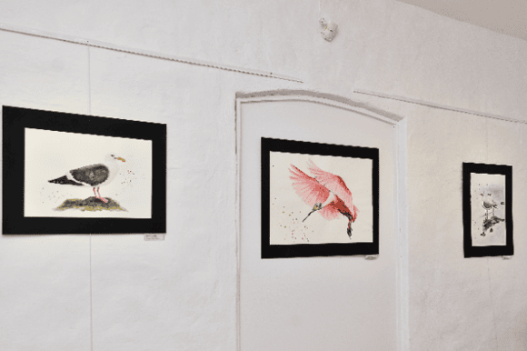 Proyectos de artes visuales de la municipalidad: los artistas inscriptos serán parte de la programación 2025