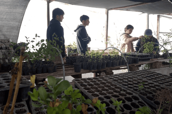 Alumnos de la Escuela Industrial comenzaron sus prácticas profesionalizantes en el Vivero Municipal