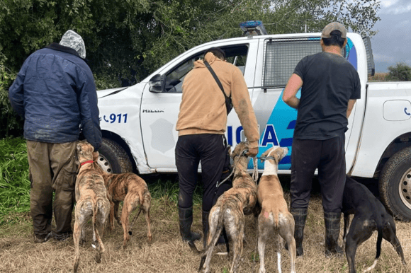 Cazadores ilegales fueron detectados en zonas rurales de Chascomús y se secuestraron vehículos adulterados