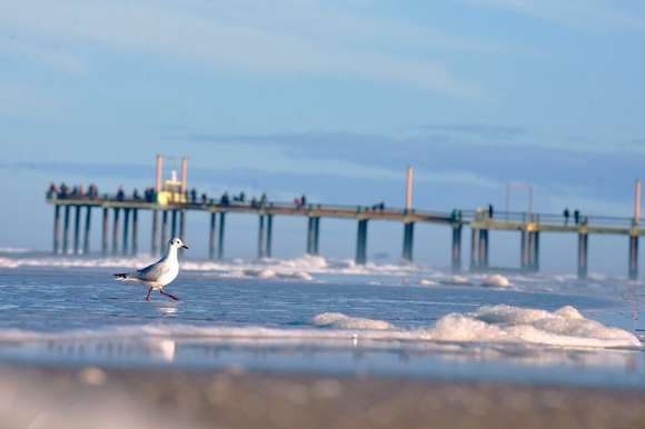 Intendentes bonaerenses le piden al Congreso que el 12 de octubre sea feriado largo