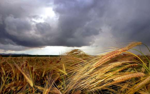 Lluvias y temperaturas: ¿cómo será la tendencia climática para mayo, junio y julio en distritos bonaerenses?