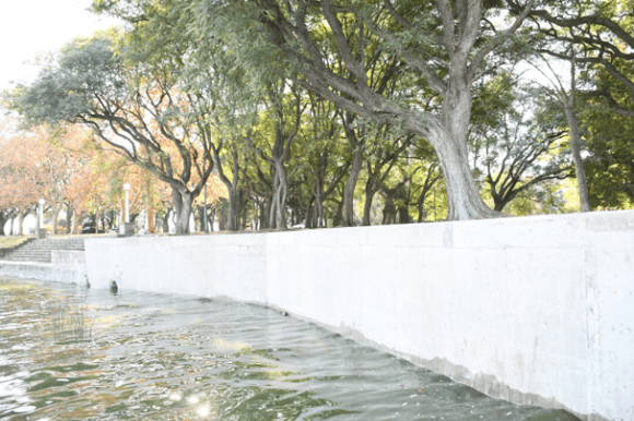 Renovación en la costanera de Chascomús: Habilitado el nuevo tramo de muralla desde Lastra hasta el espigón de pesca