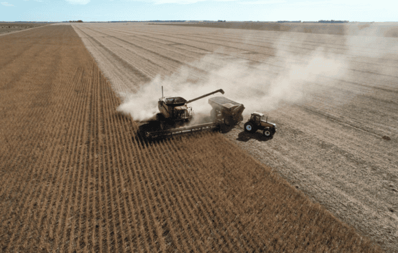 El Gobierno mantiene las retenciones para trigo y cebada pero sube las de soja y maíz