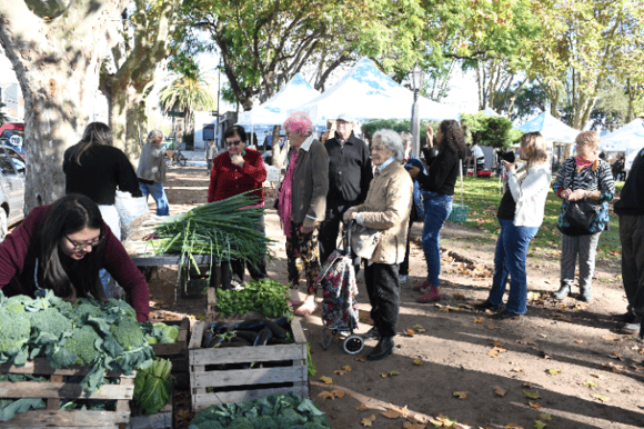 Mercados Bonaerenses regresa a Chascomús con un imperdible 40% de descuento y amplia oferta de productos locales