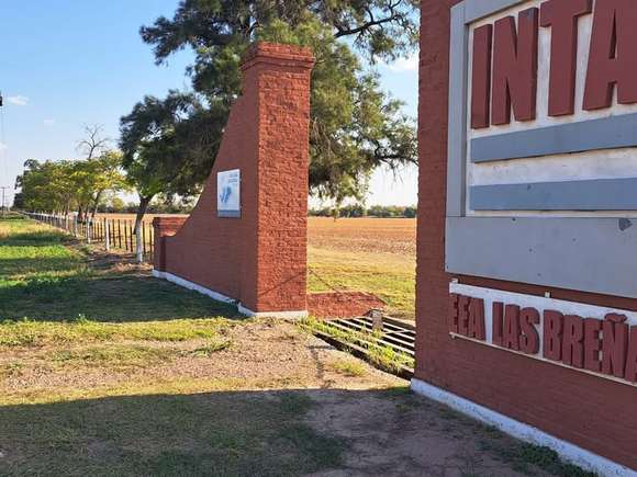 INTA, INTI, Vialidad, Enargas y ENRE: Sturzenegger acelera más cambios en el Estado