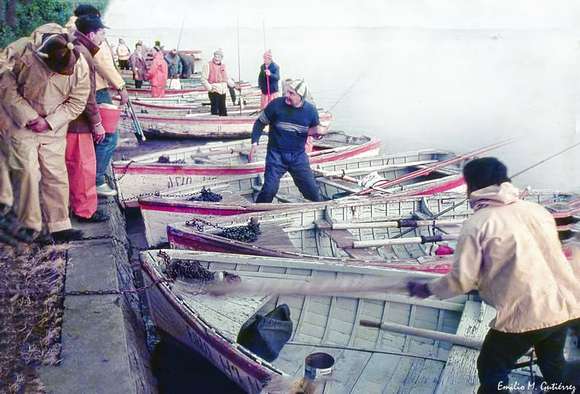 “Mis Recuerdos”: La niebla y los botes, testigos de la tradición pesquera de Chascomús