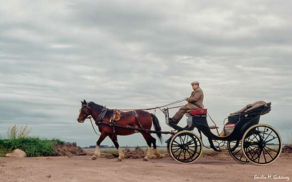 “Mis recuerdos”: una fotografía que revive la tradición de los carruajes en Chascomús