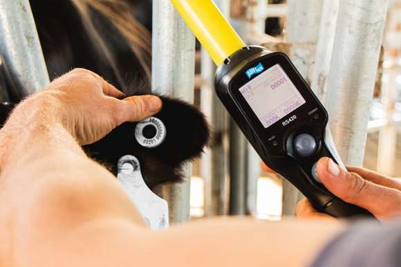 El SENASA implementa el nuevo régimen de caravanas electrónicas a partir de 2026