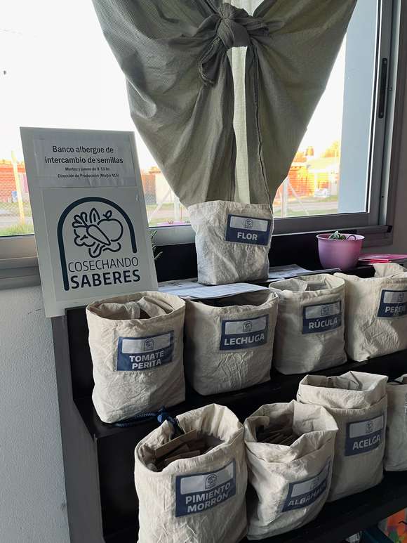 318 grupos familiares recibieron semillas del programa municipal “Cosechando saberes”