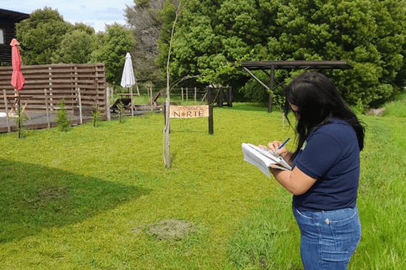 Operativo para regularizar complejos turísticos sin habilitación en Chascomús