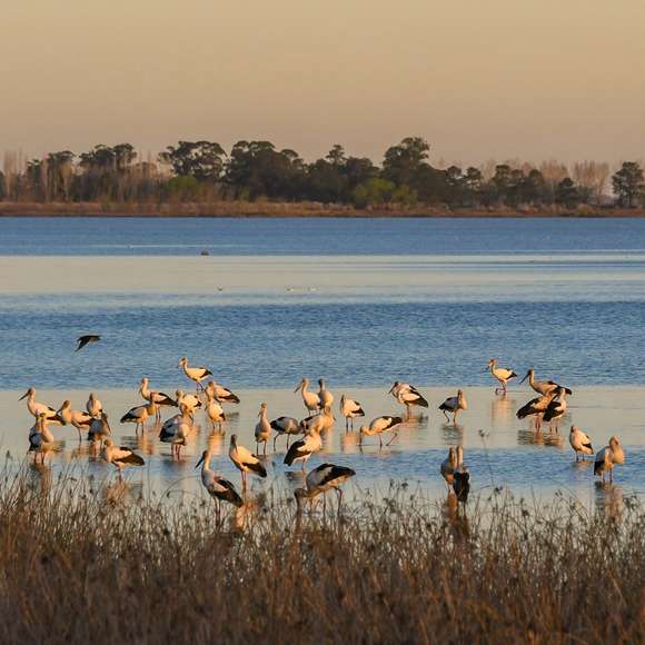 Chascomús celebra el Mes de la Agroecología con una amplia agenda de actividades