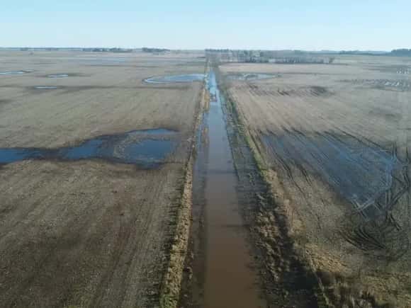 Estiman en 5 millones las hectáreas afectadas por las lluvias en la provincia de Buenos Aires