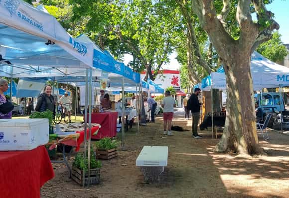 Nueva edición de Mercados Bonaerenses en Chascomús: productos locales, precios justos y 40% de descuento con Cuenta DNI