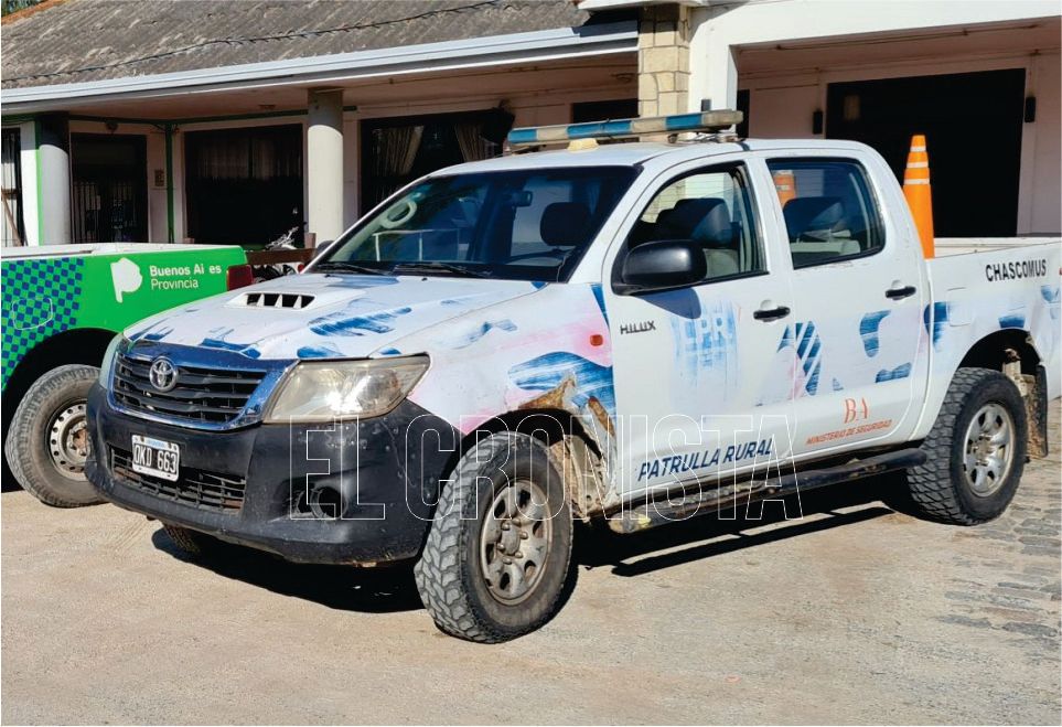 Se recuperaron ocho vaquillonas y se ordenó detención a un masculino