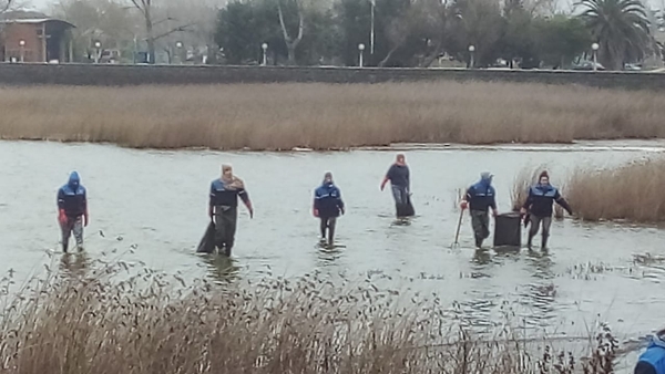 Se puso en marcha un operativo integral de limpieza en la laguna de Chascomús
