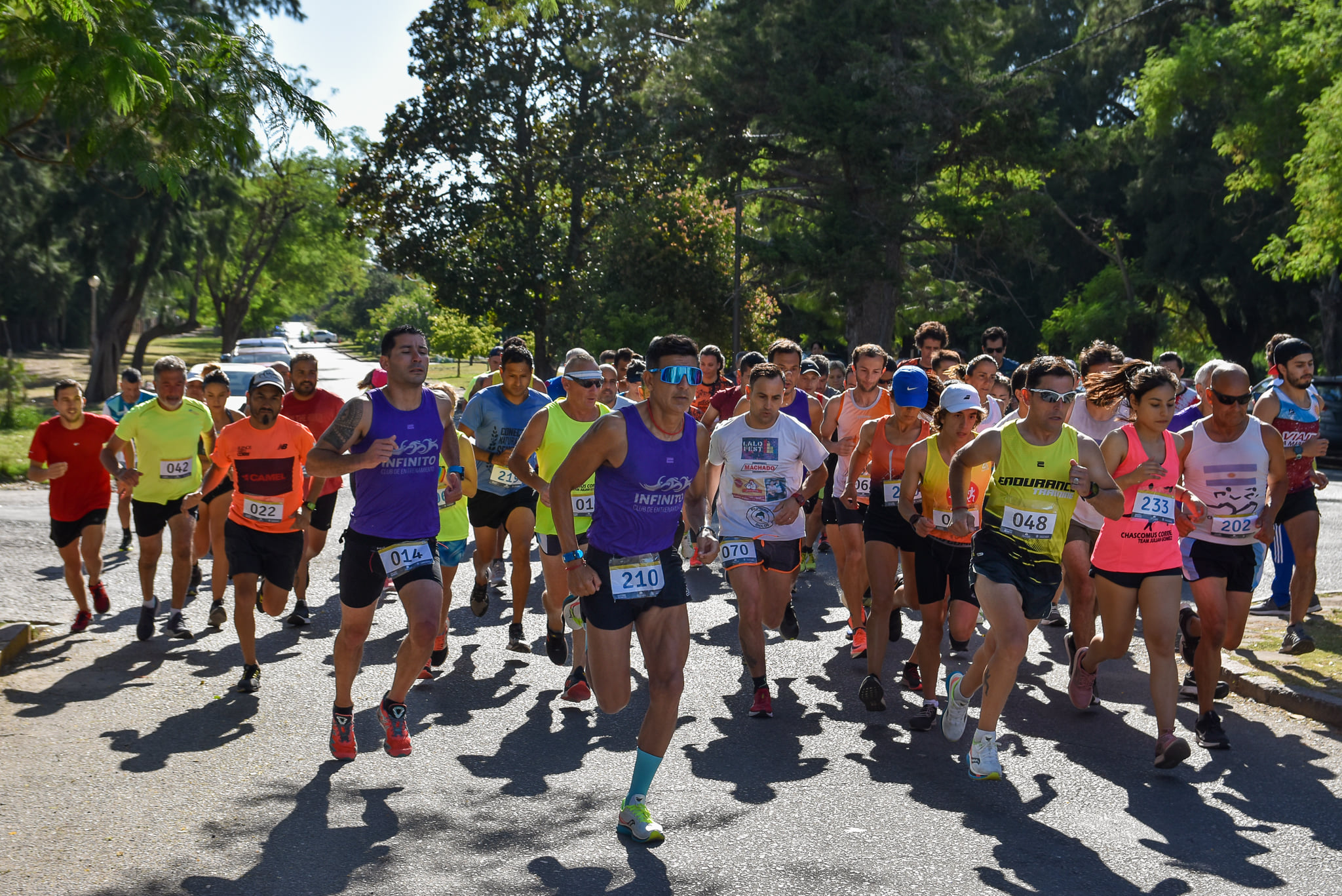 Atletismo: Este domingo 7 será la quinta fecha de la competencia de Carrera de Calle 