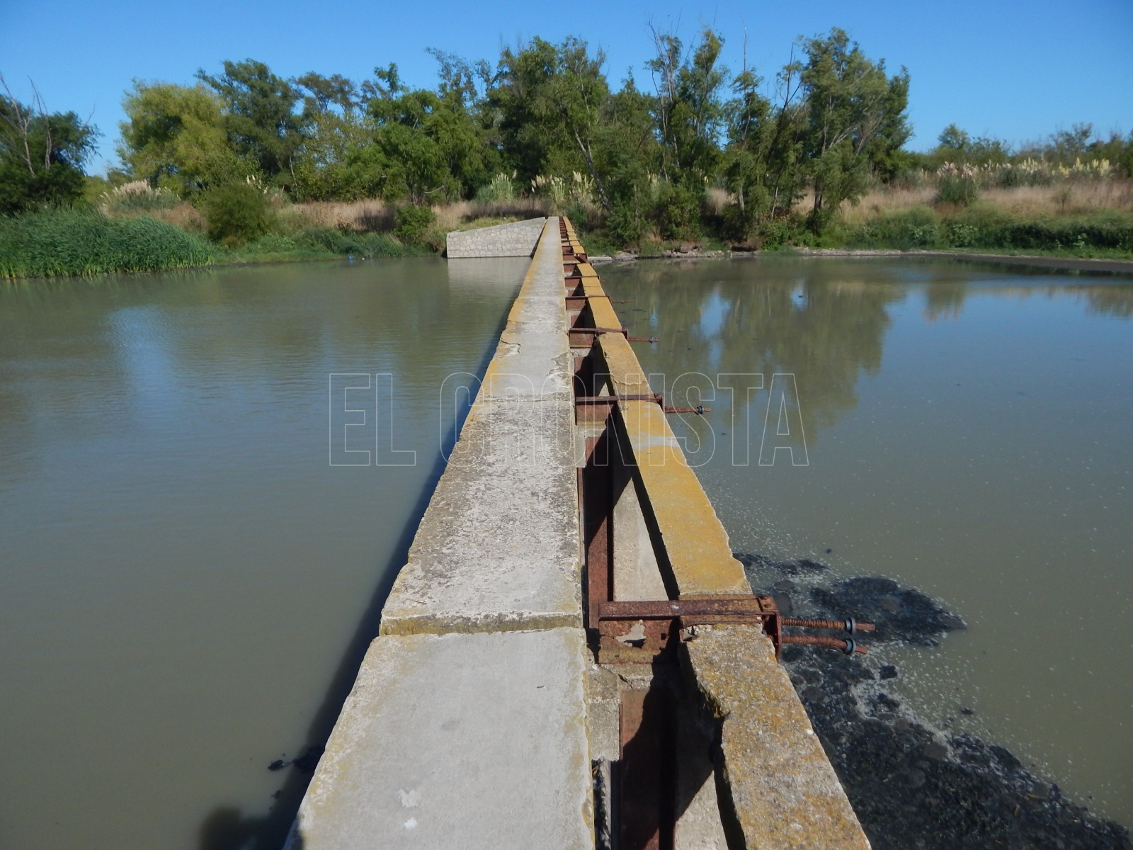La laguna de Chascomús se encuentra en riesgo medio de cianobacterias