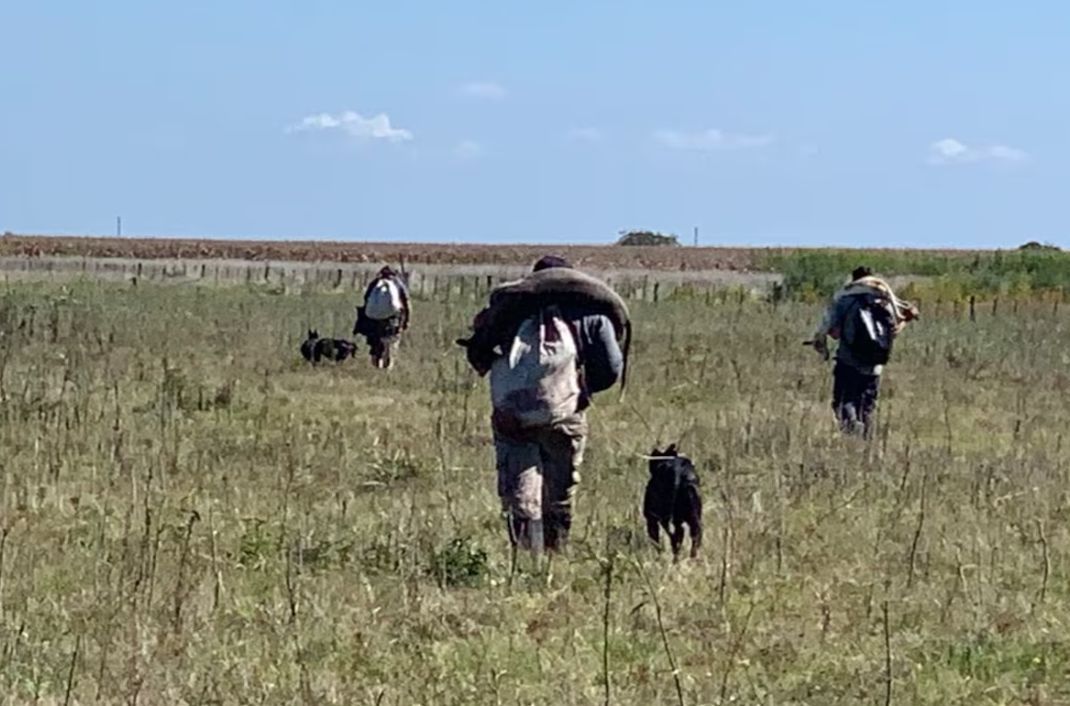Preocupación creciente de productores rurales: “La falta de sanciones ha generado un descontrol”