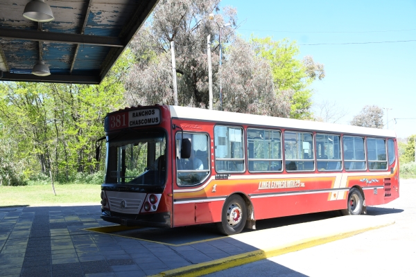 Exitoso primer día del transporte público urbano en Chascomús