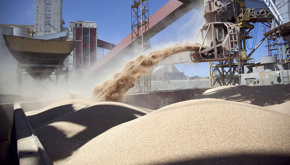 Clave: Las exportaciones del complejo sojero subirán 125% en 2024