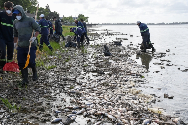 Realizan amplio operativo de limpieza en la costanera de la laguna de Chascomús