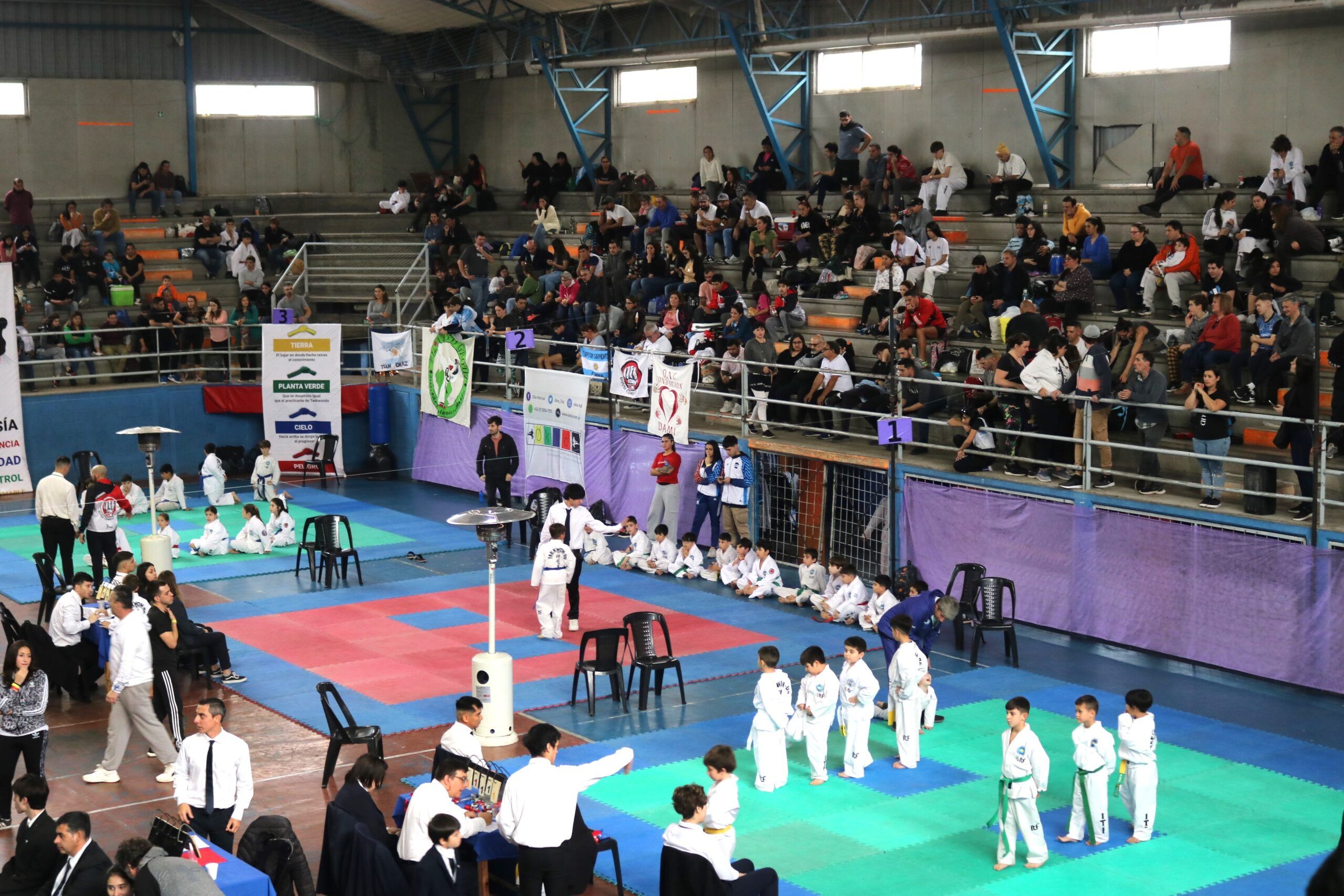 Éxito rotundo en la VI Copa Ciudad de Chascomús de Taekwondo ITF