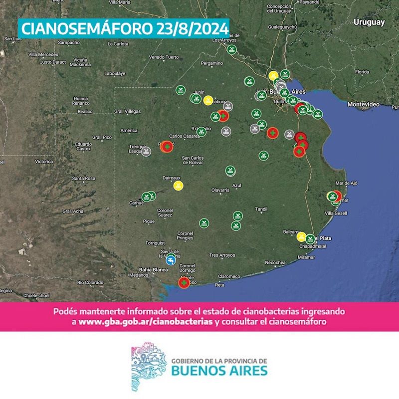 Cuatro municipios bonaerenses con alerta roja por cianobacterias