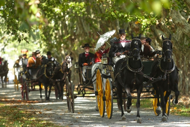 Agenda: Llega la primavera en un fin de semana a puro campo en Chascomús