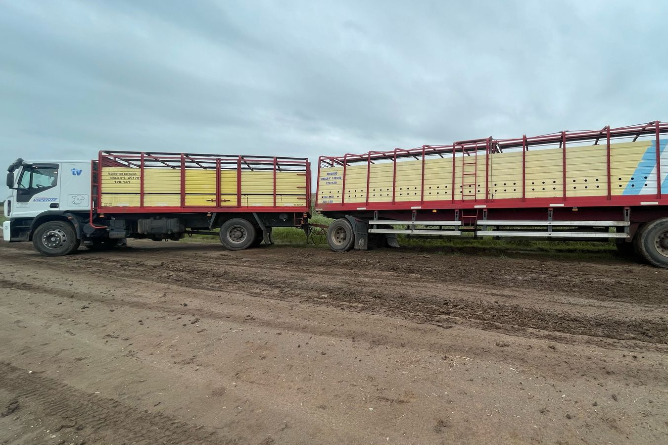 Control en caminos rurales: Sanciones a camiones por circular en días de lluvia