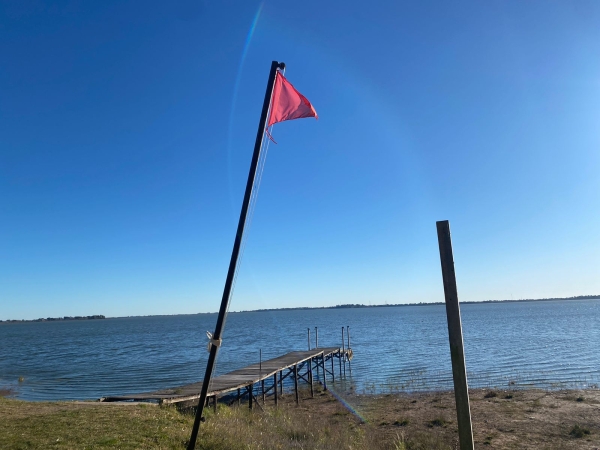 Alerta por altos niveles de cianobacterias en la laguna de Chascomús