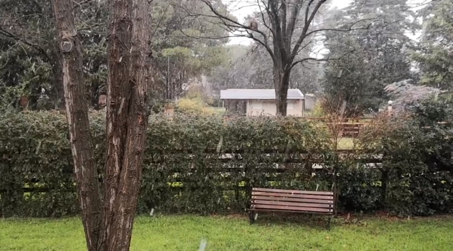 Nieve en el noroeste bonaerense y en Sierra de la Ventana