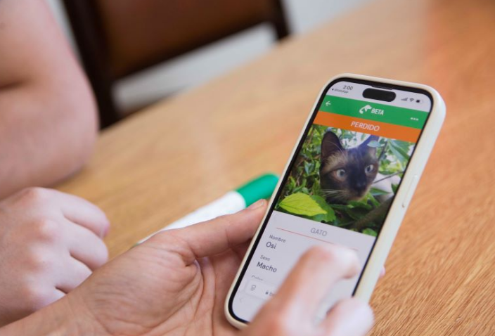 Egresados de la UNLP desarrollaron una app para la búsqueda y adopción de mascotas
