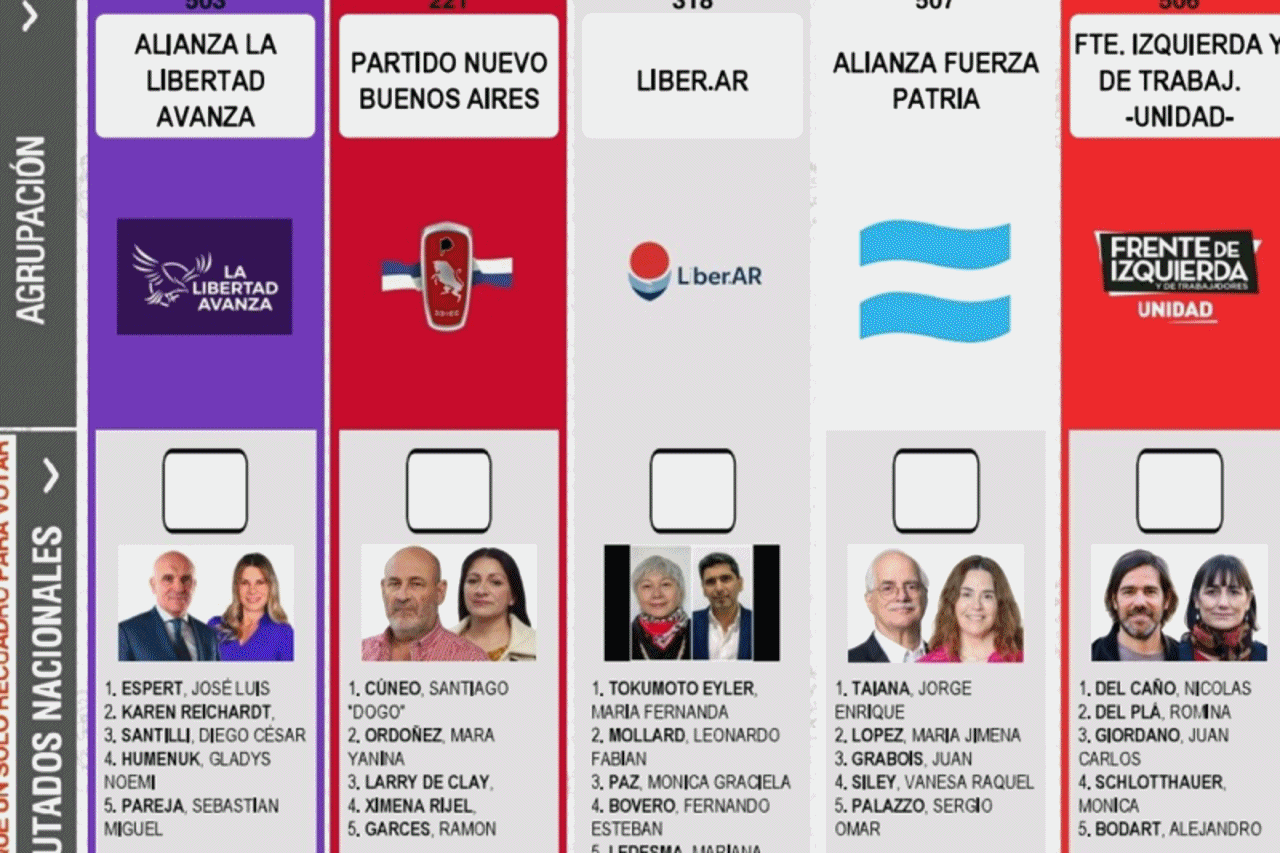 Elecciones 2025: 15 fuerzas, candidatos que buscan renovar y la BUP que debuta